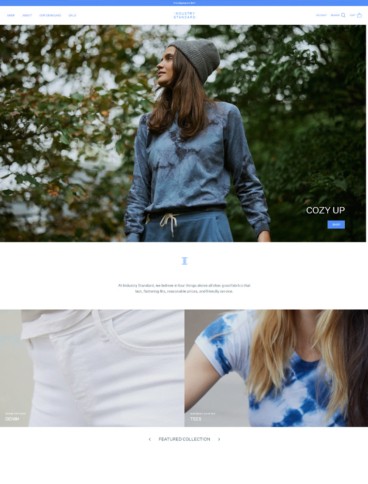 eCommerce website: Industry Standard