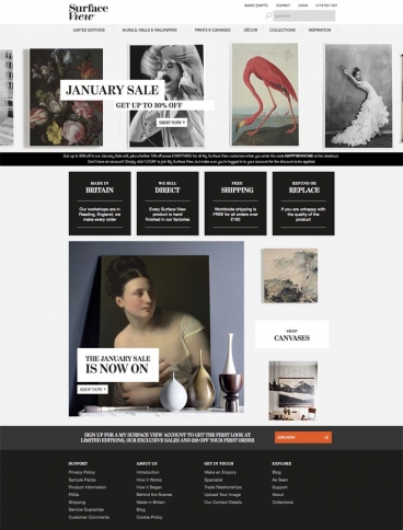 eCommerce website: Surface View