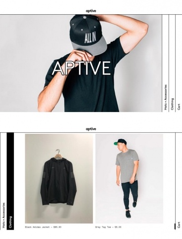 eCommerce website: Aptive Store