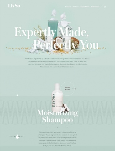 eCommerce website: LivSo