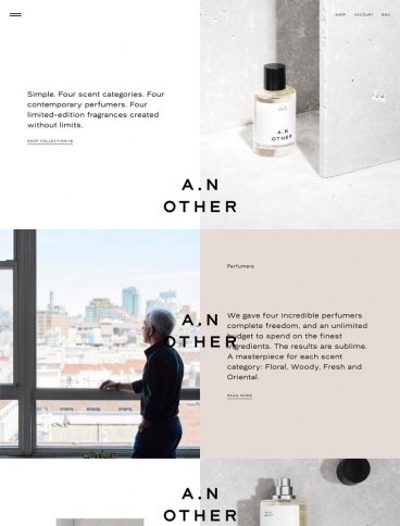 eCommerce website: A. N. Other