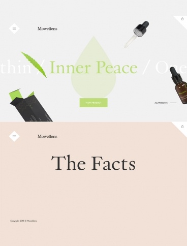 eCommerce website: Mowellens