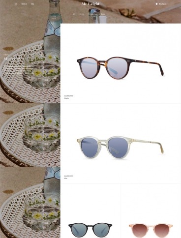 eCommerce website: Mr. Leight