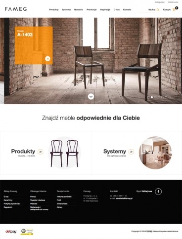 eCommerce website: Fameg