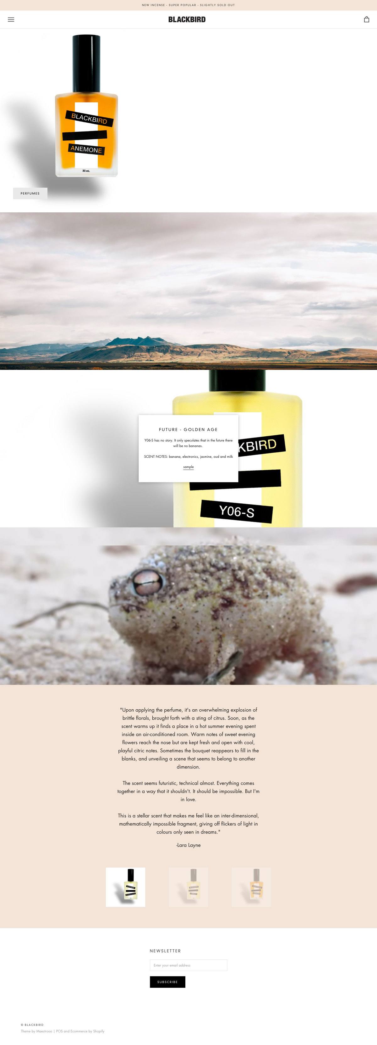 eCommerce website: Blackbird