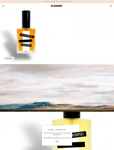 eCommerce website: Blackbird