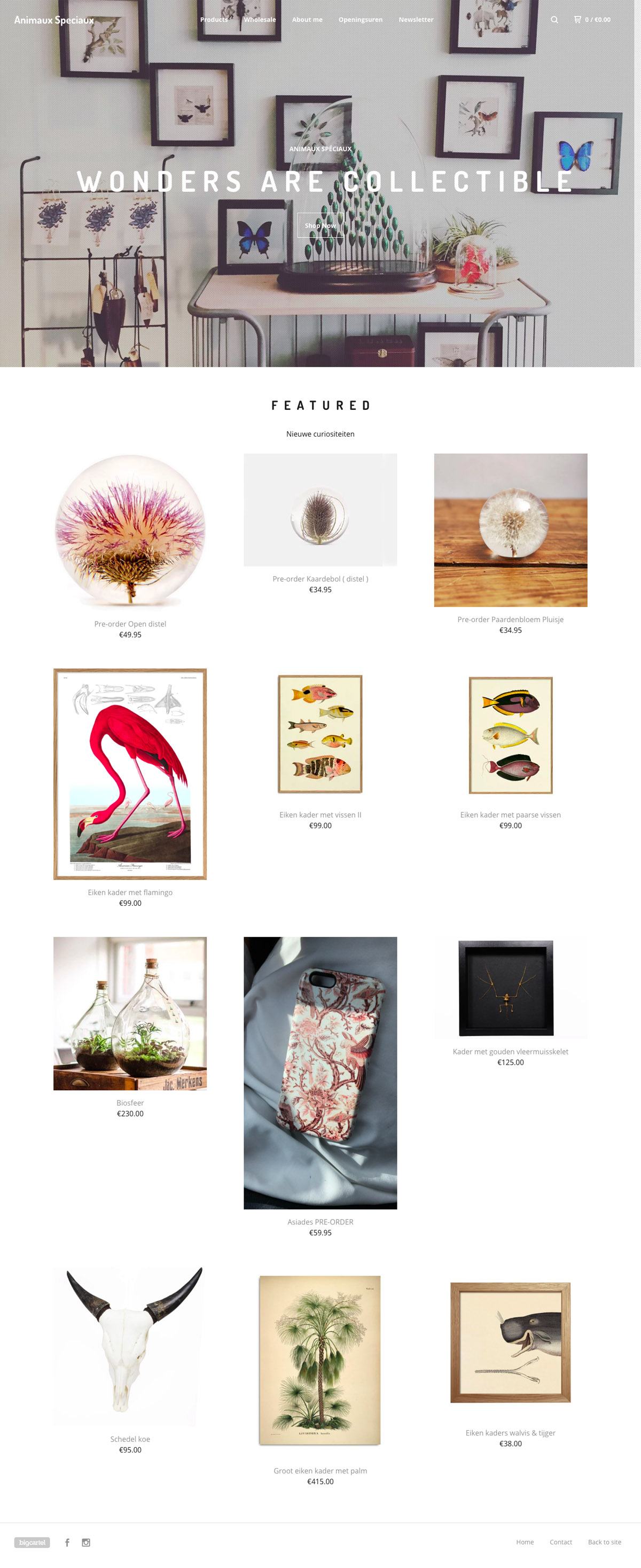 eCommerce website: Animaux Speciaux