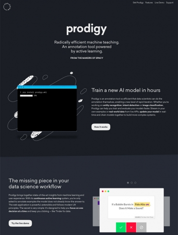 eCommerce website: Prodigy