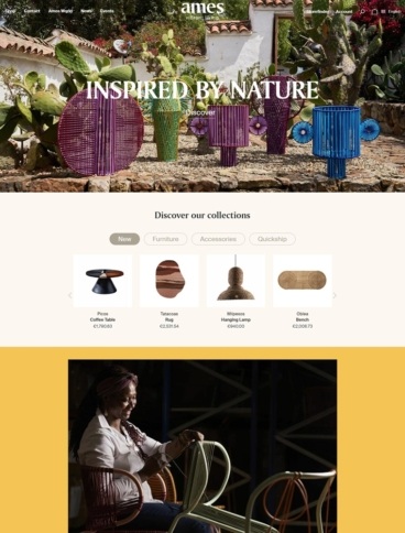 eCommerce website: Ames