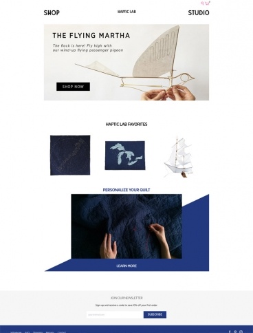 eCommerce website: Haptic Lab