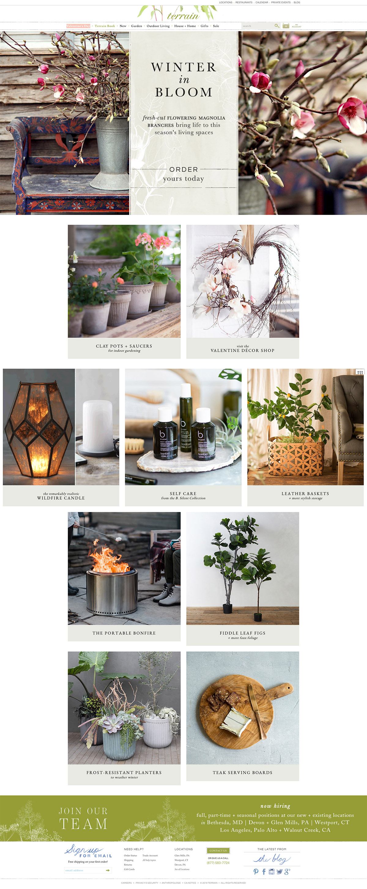 eCommerce website: Terrain