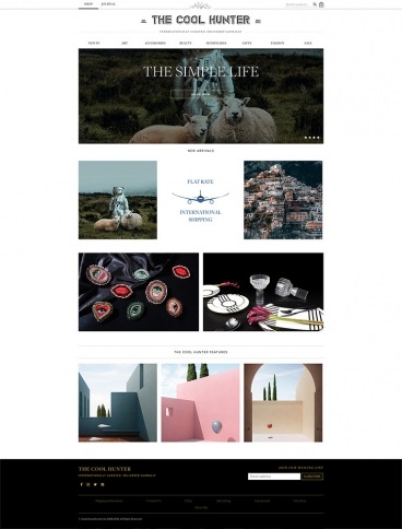 eCommerce website: The Cool Hunter