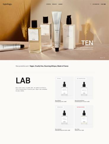 eCommerce website: Typology