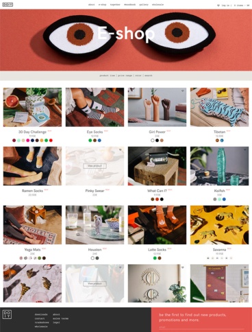 eCommerce website: DOIY