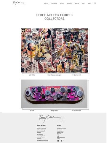 eCommerce website: Fiercely Curious