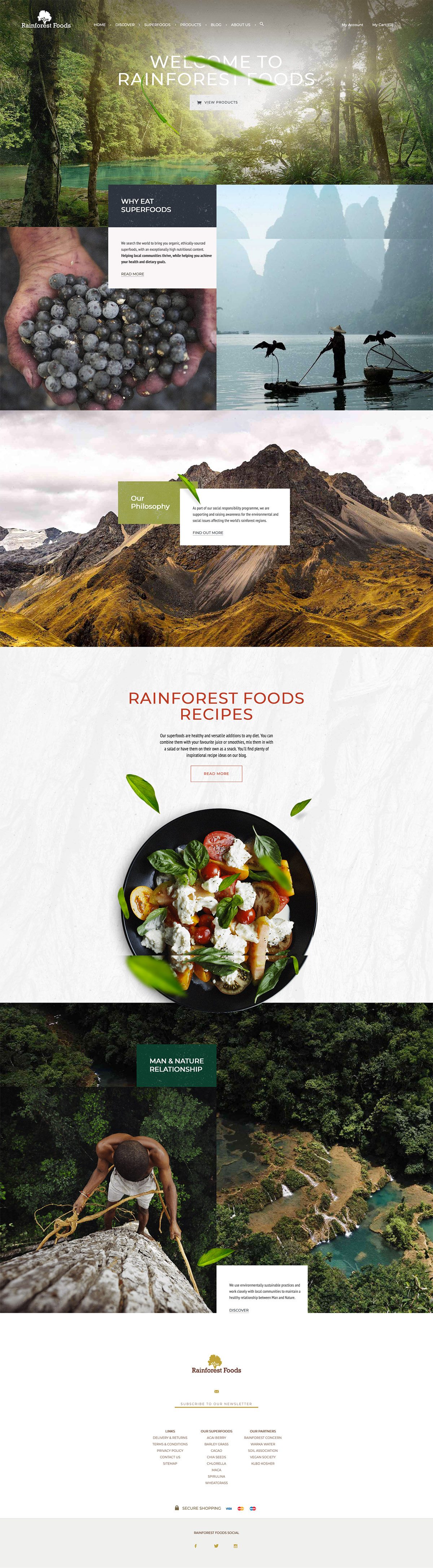 eCommerce website: Rainforest Foods