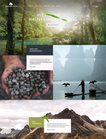 eCommerce website: Rainforest Foods