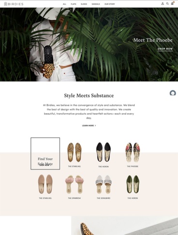 eCommerce website: Birdies