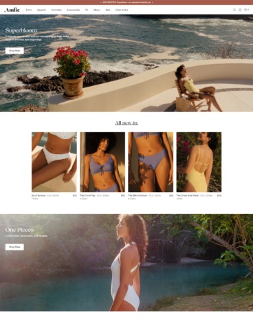 eCommerce website: Andie