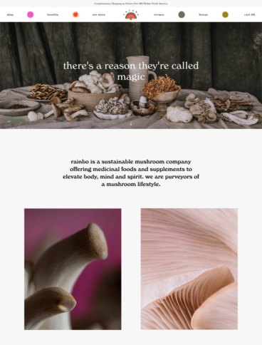 eCommerce website: Rainbo