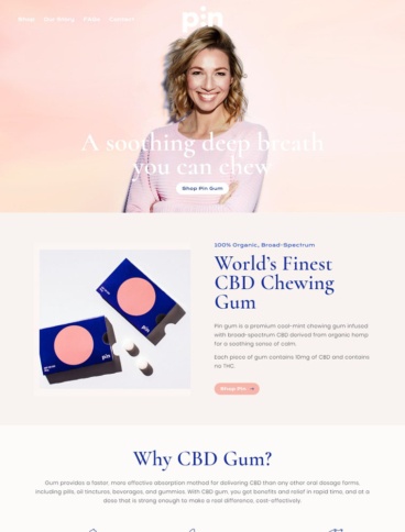 eCommerce website: Pin Gum