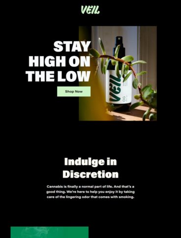 eCommerce website: Veil