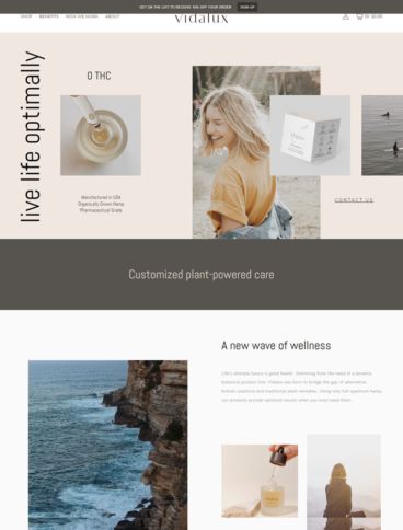 eCommerce website: Vidalux