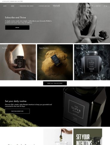 eCommerce website: WelleCo