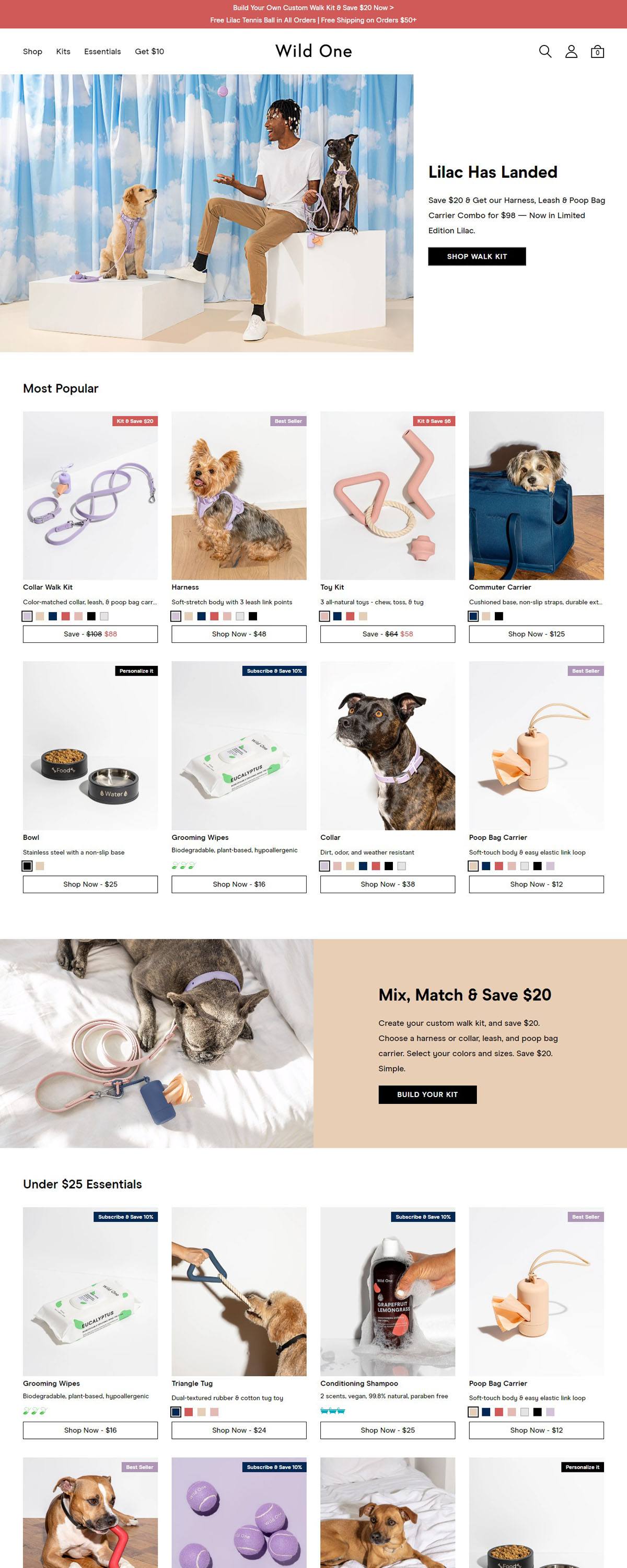 eCommerce website: Wild One