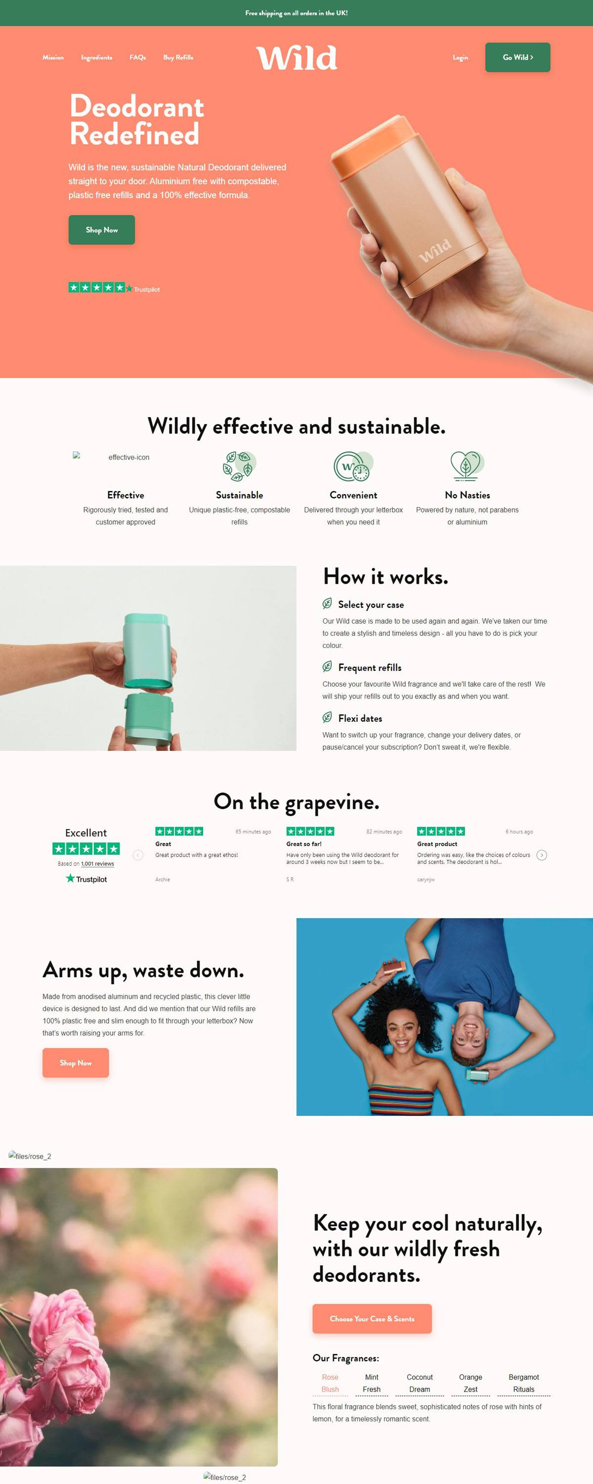 eCommerce website: Wild