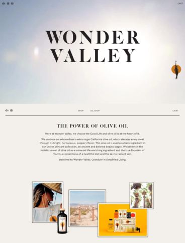 eCommerce website: Wonder Valley