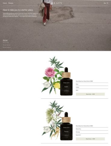 eCommerce website: Treaty