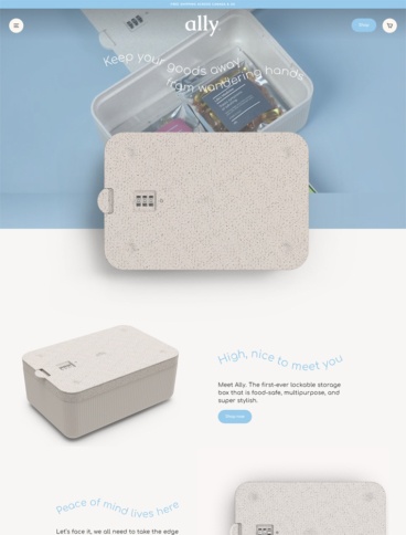 eCommerce website: Ally