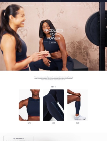 eCommerce website: Blue Elvin