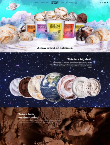 eCommerce website: Brace Robot