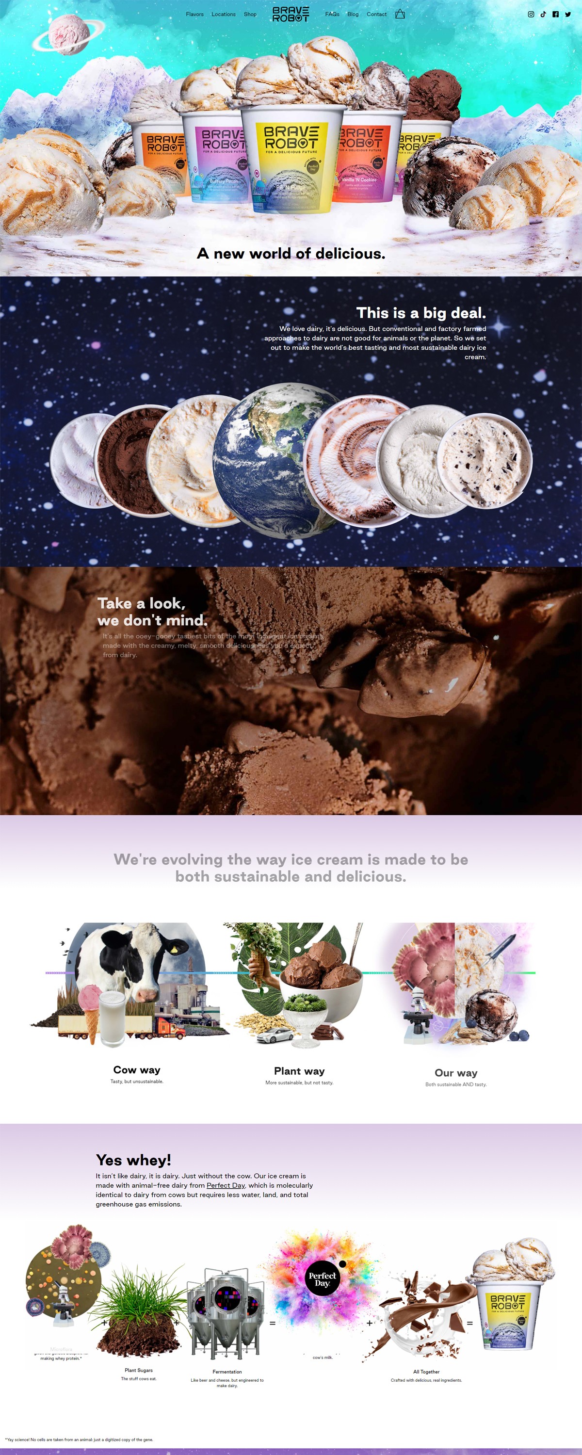 eCommerce website: Brace Robot