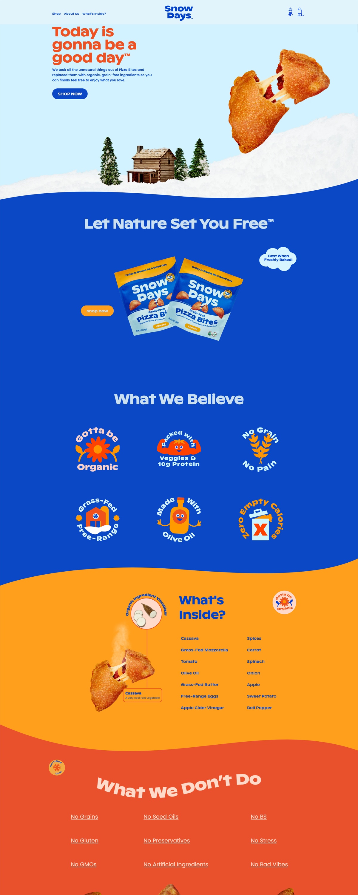 eCommerce website: Snow Days