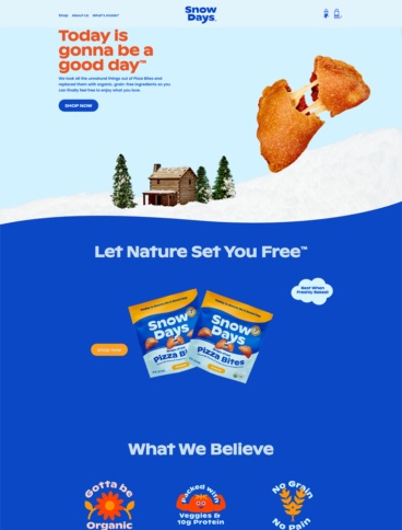 eCommerce website: Snow Days