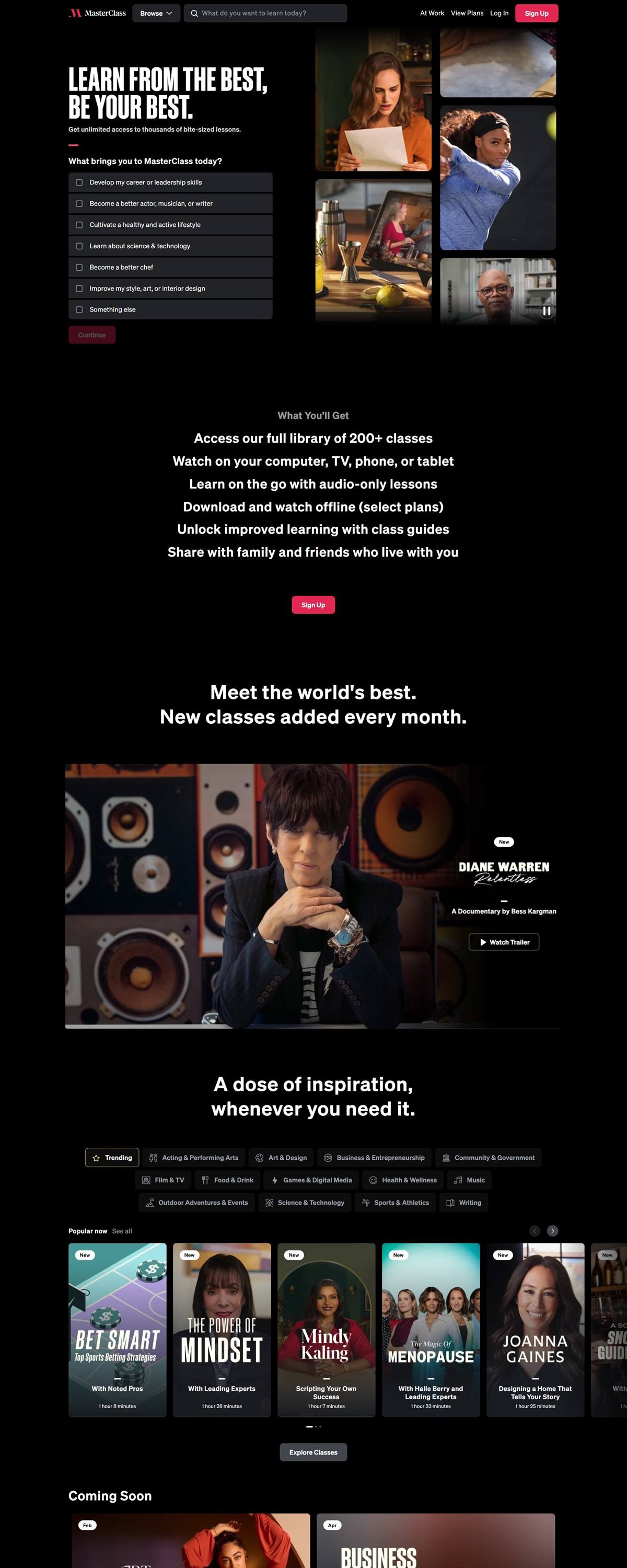 eCommerce website: MasterClass