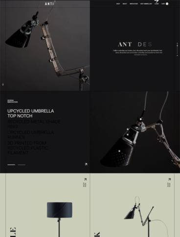 eCommerce website: Anti