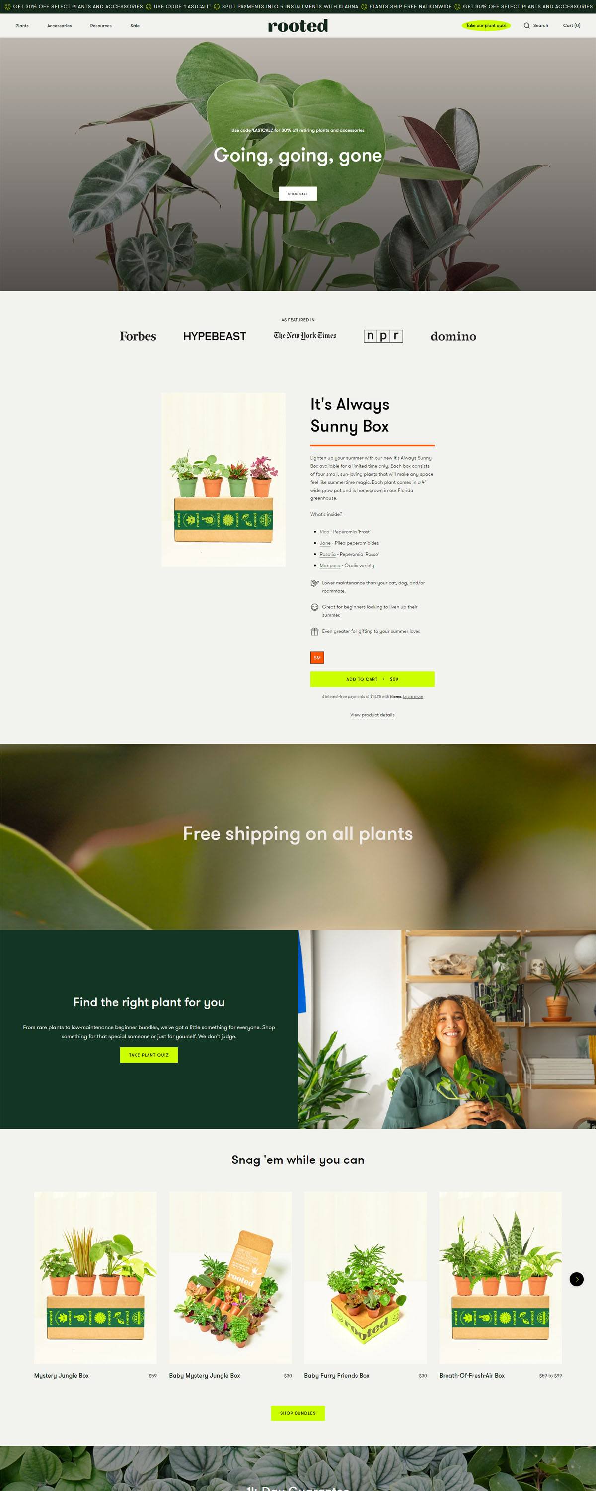 eCommerce website: Rooted