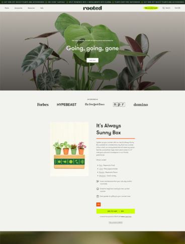 eCommerce website: Rooted