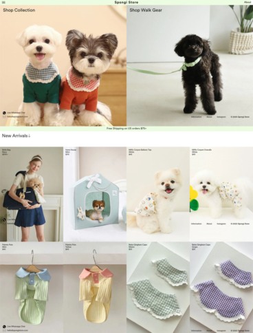 eCommerce website: Spongi Store