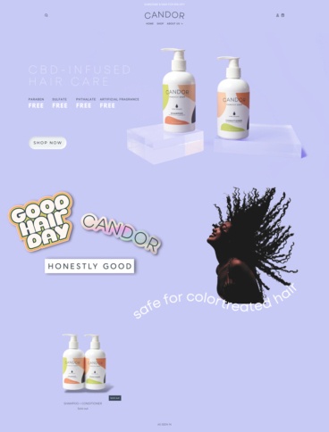 eCommerce website: Candor