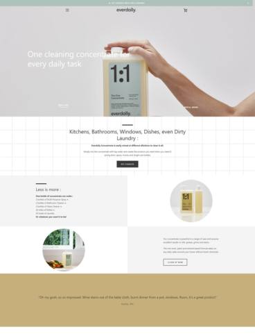 eCommerce website: Everdaily