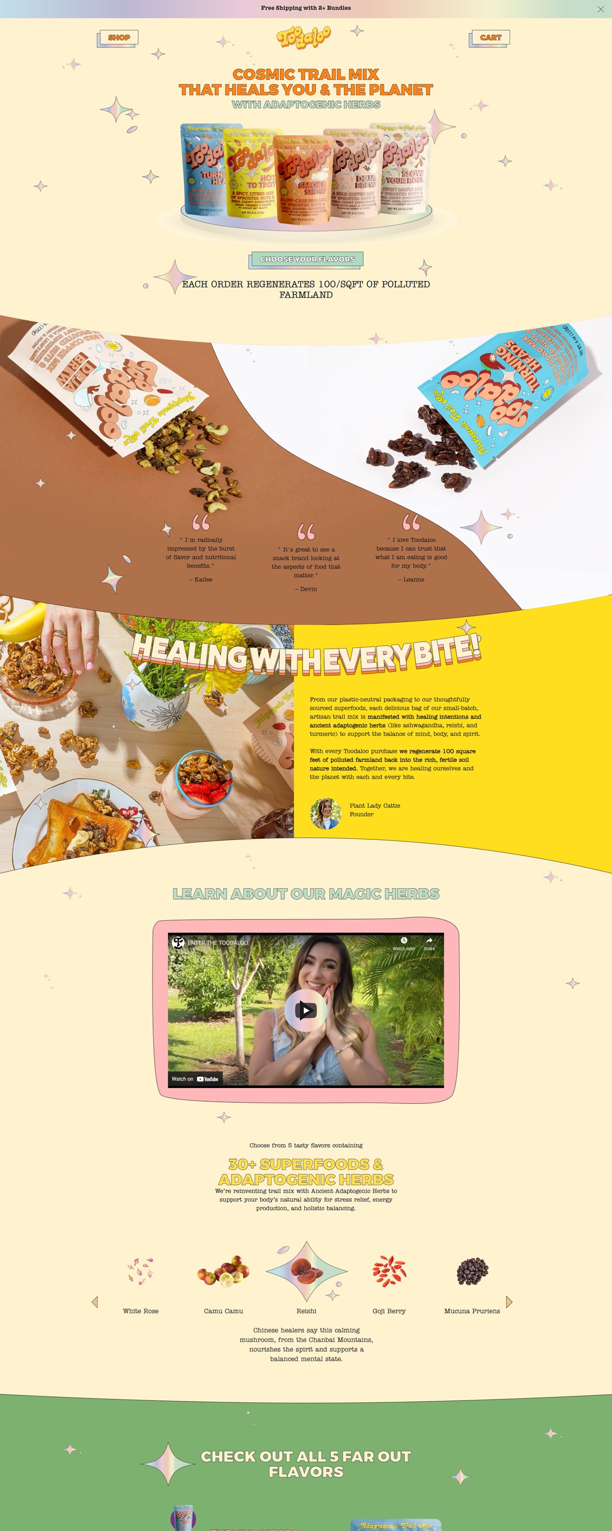 eCommerce website: Toodaloo