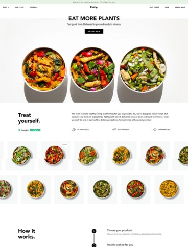 eCommerce website: Every-Foods
