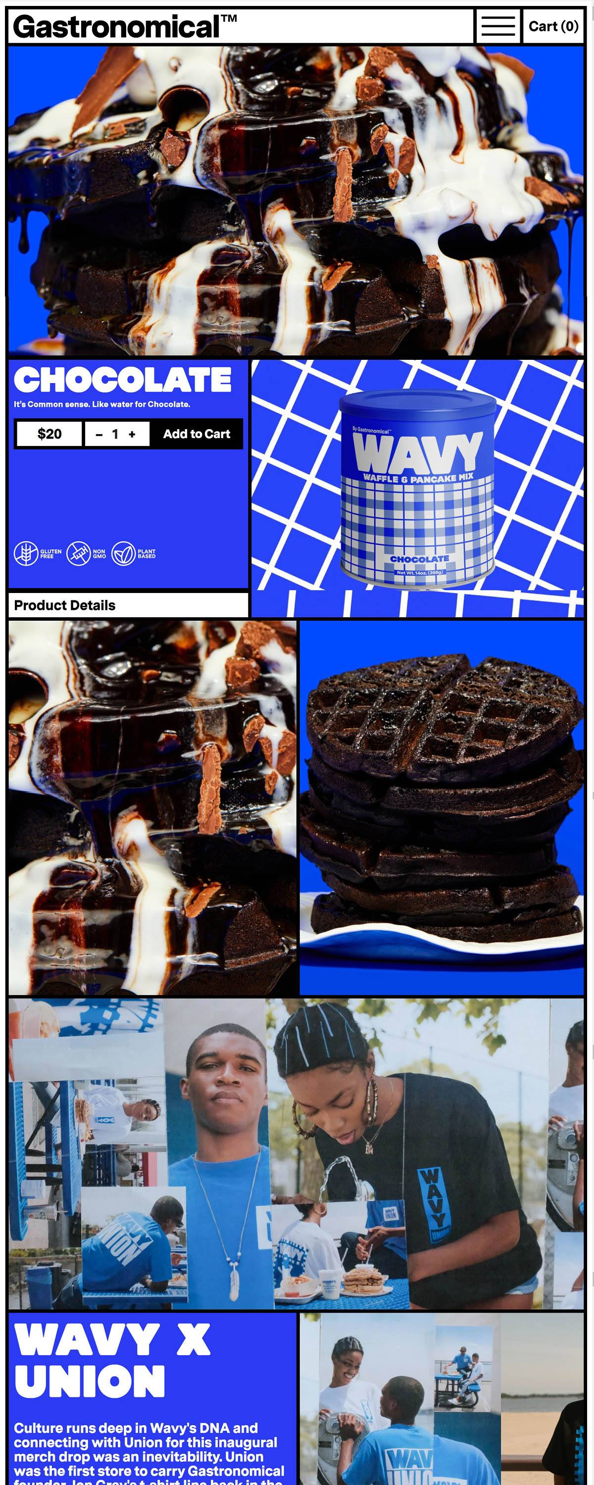 eCommerce website: Gastronomical