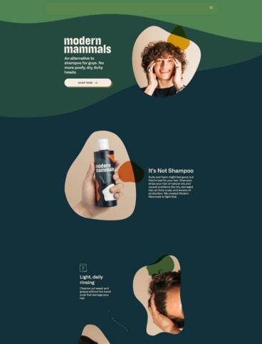 eCommerce website: Modern Mammals