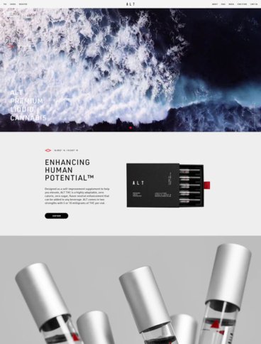 eCommerce website: ALT Life